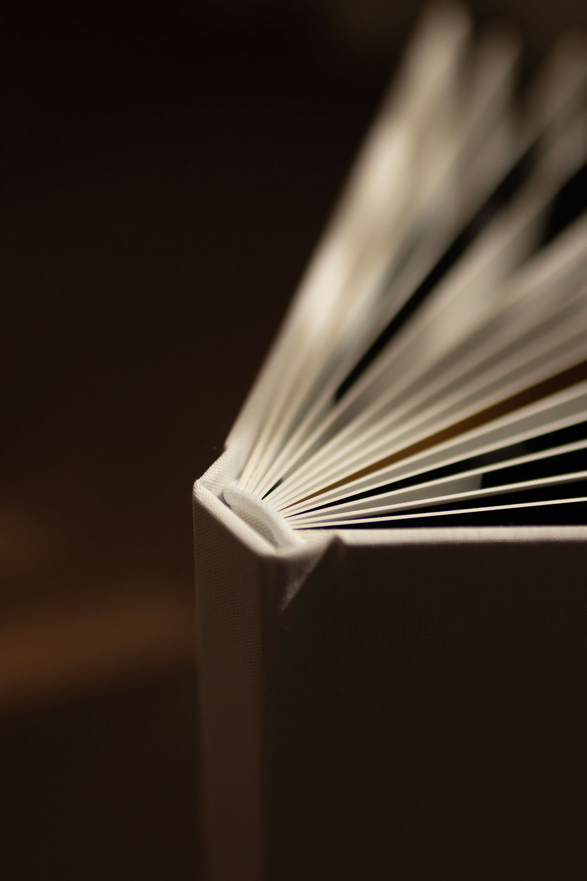álbum fotográfico com visão de cima das espessuras das paginas